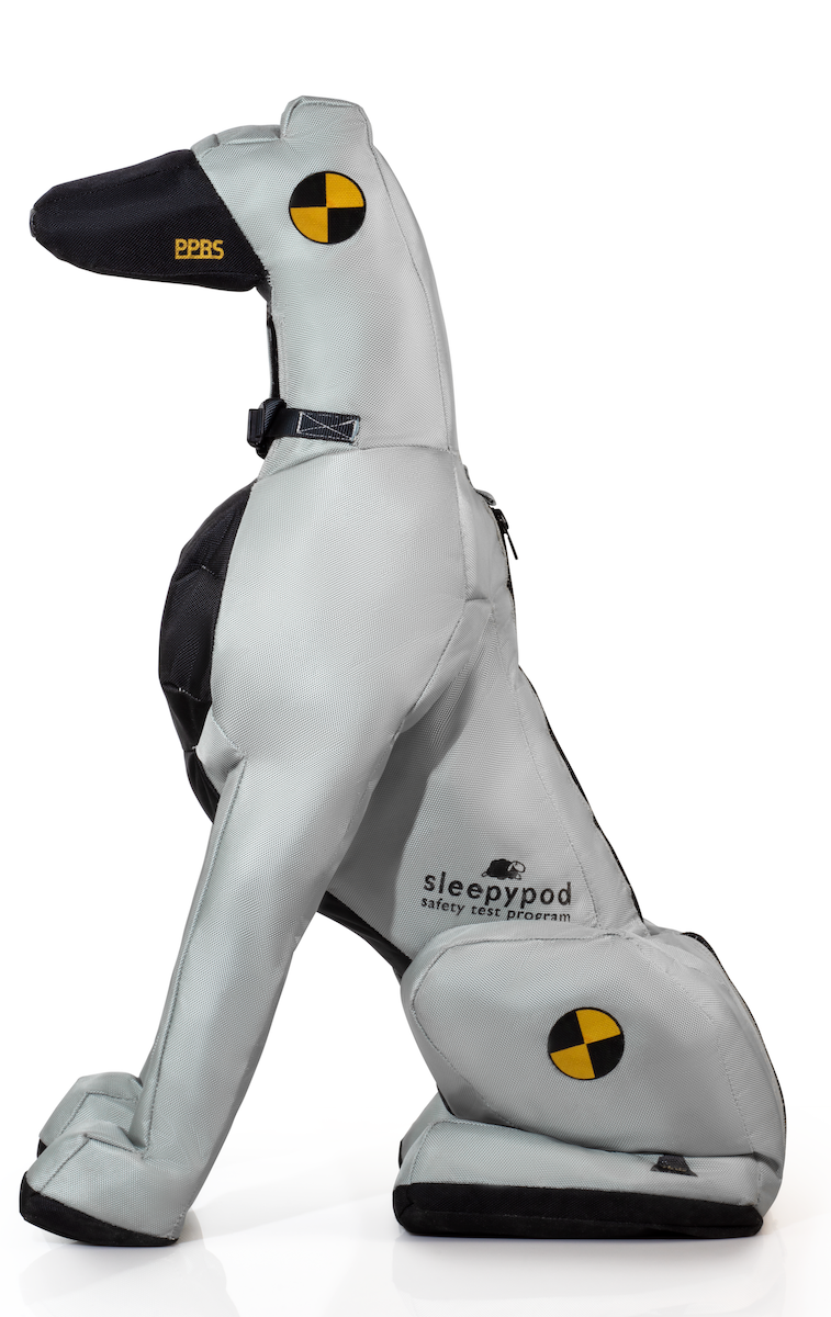 Meet crash test dummy dog DASH 1.0 – Sleepypod