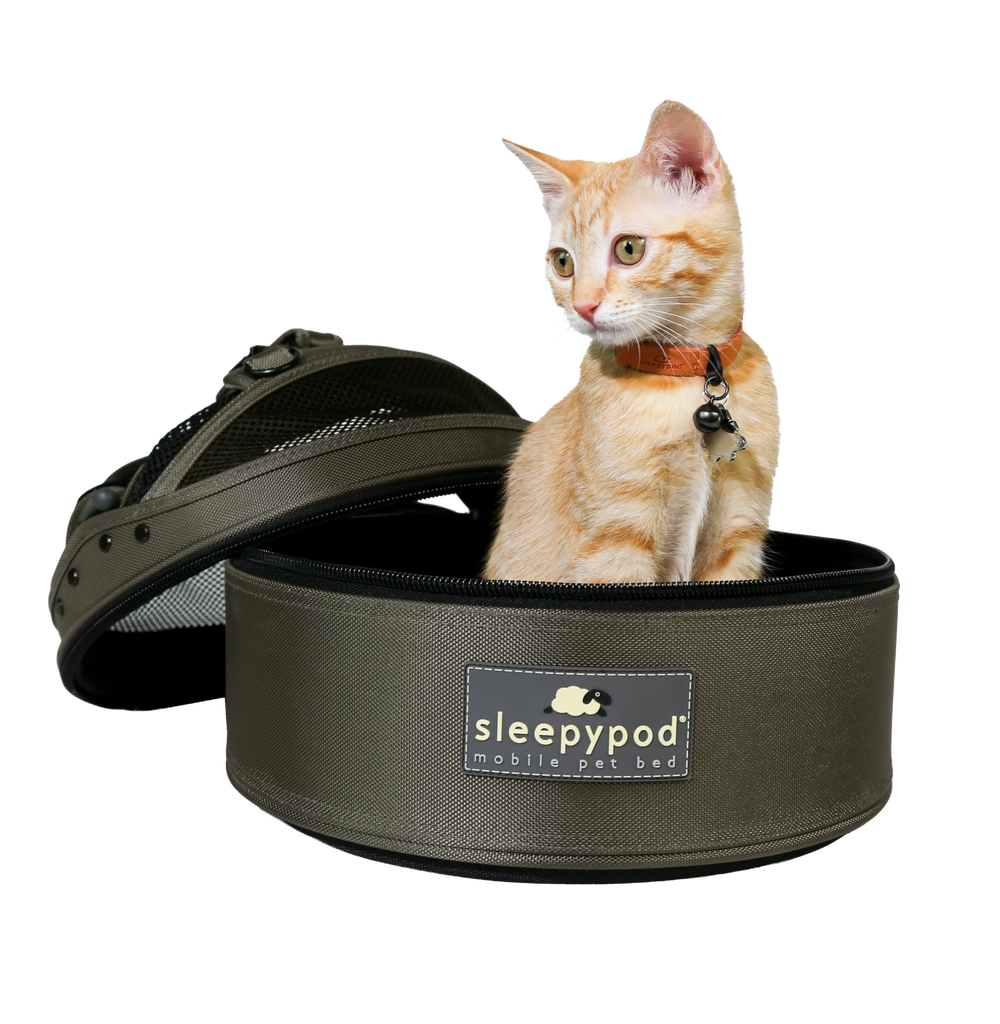 Sleepypod Partnership