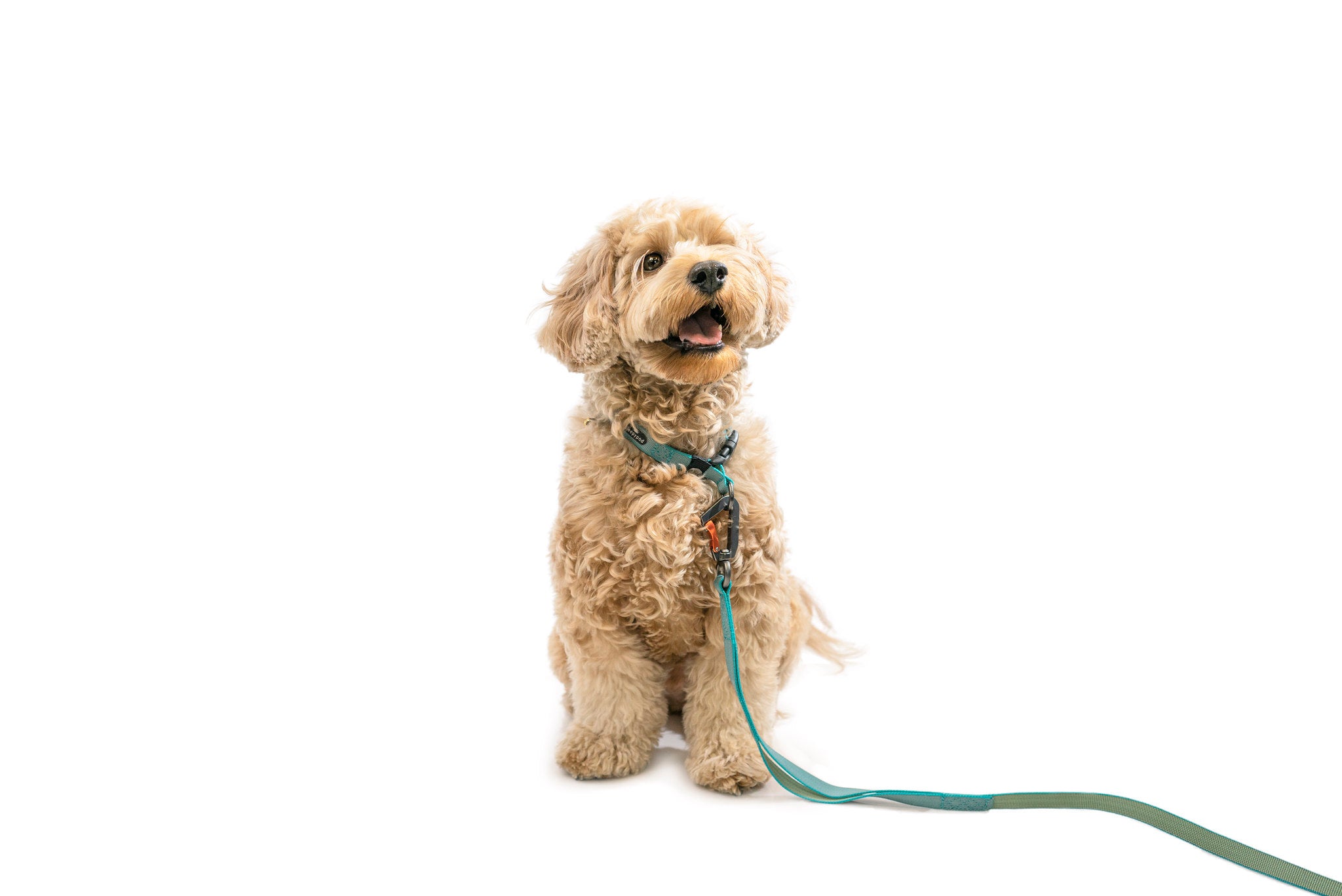 Locking Martingale Collar