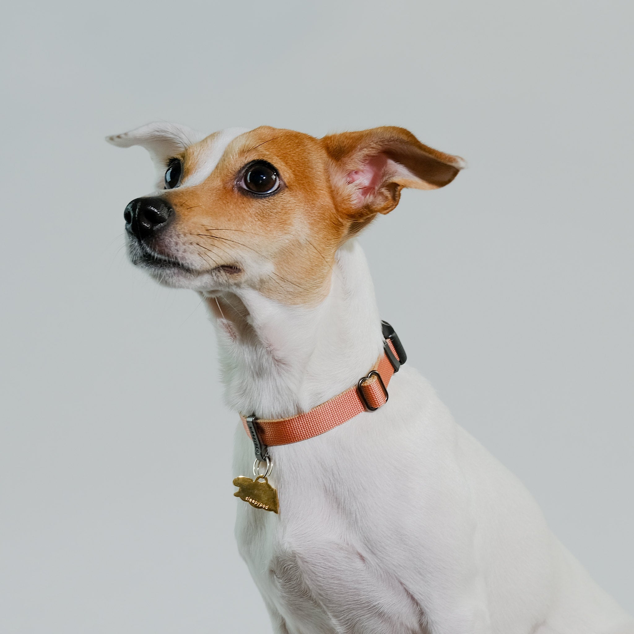 Locking Martingale Collar