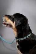 Load image into Gallery viewer, Locking Martingale Collar