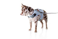 Load image into Gallery viewer, (glacier silver mesh)