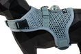 Load image into Gallery viewer, (glacier silver mesh)