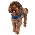 Load image into Gallery viewer, (midnight blue mesh)