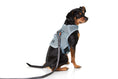 Load image into Gallery viewer, (glacier silver mesh)