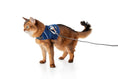 Load image into Gallery viewer, (midnight blue mesh)