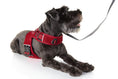 Load image into Gallery viewer, (strawberry red mesh)