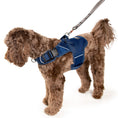 Load image into Gallery viewer, (midnight blue mesh)