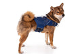 Load image into Gallery viewer, (midnight blue mesh)