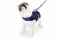 Load image into Gallery viewer, (midnight blue mesh)