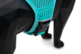 Load image into Gallery viewer, (robin egg blue mesh)