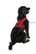 Load image into Gallery viewer, (strawberry red mesh)