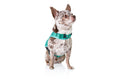Load image into Gallery viewer, (robin egg blue mesh)