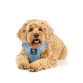 Load image into Gallery viewer, (Sky Blue)