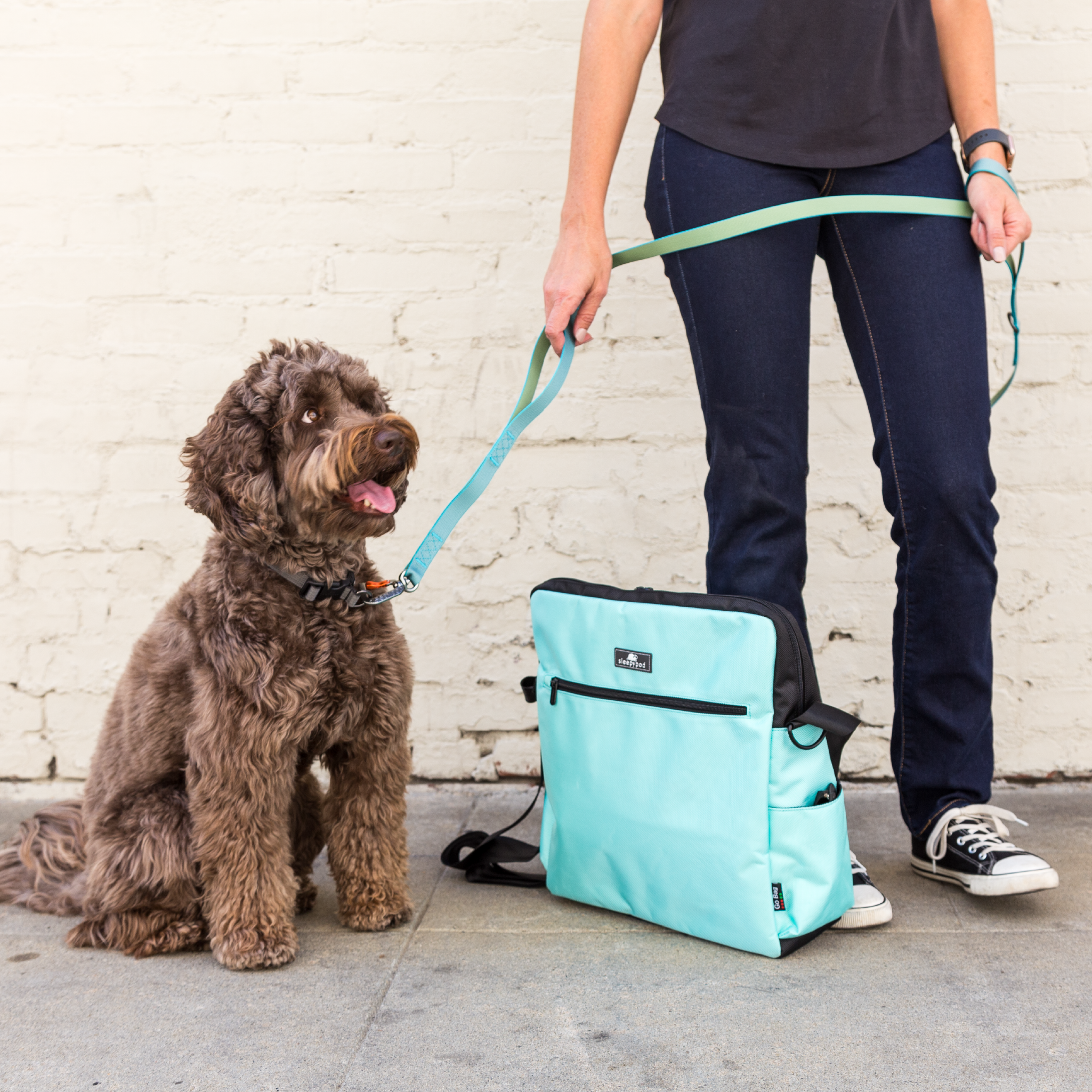 Go Bag