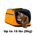 Load image into Gallery viewer, Sleepypod Air