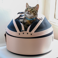 Load image into Gallery viewer, (first blush)