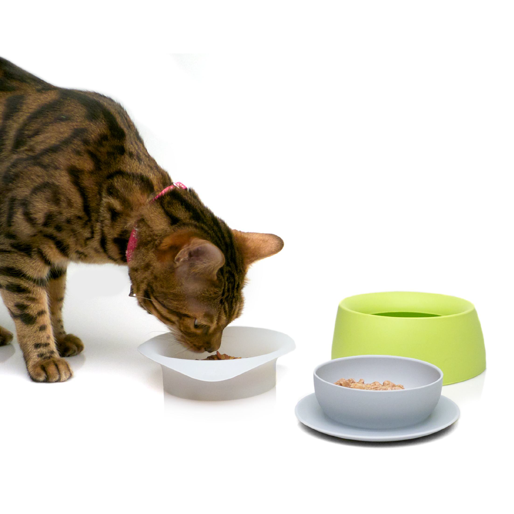 Yummy Travel Bowls – Sleepypod