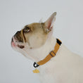 Load image into Gallery viewer, Comfort Suede Dog Collar
