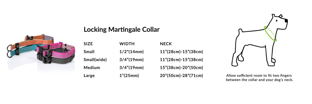 Locking Martingale Collar