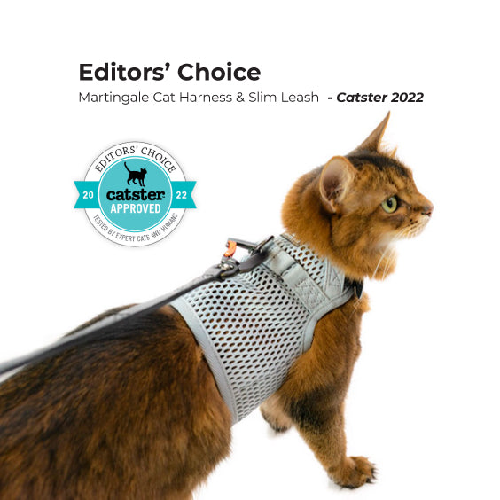 Slim Leash