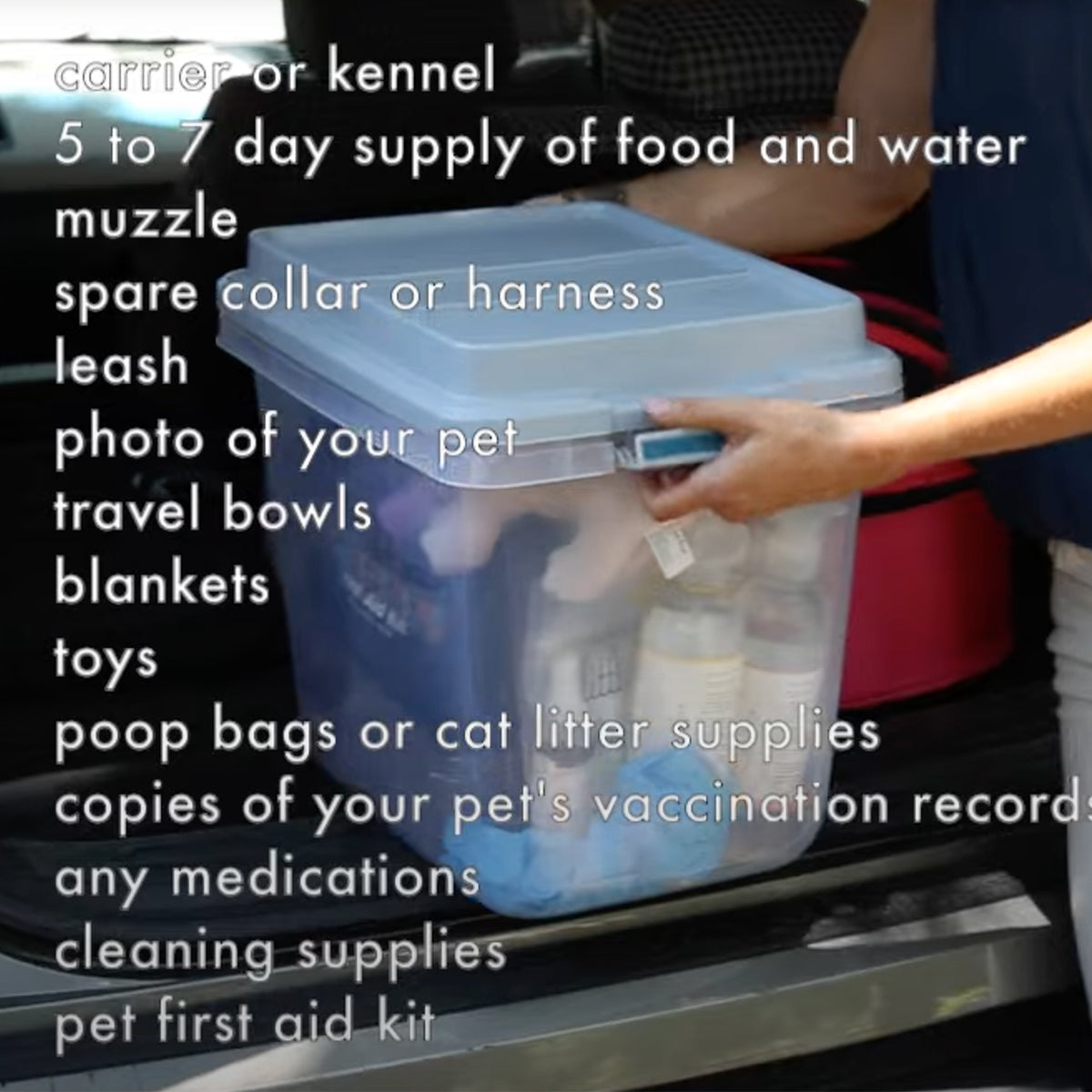 Preparedness with Pets