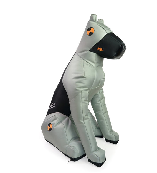 Meet crash test dummy dog DUKE 3.0