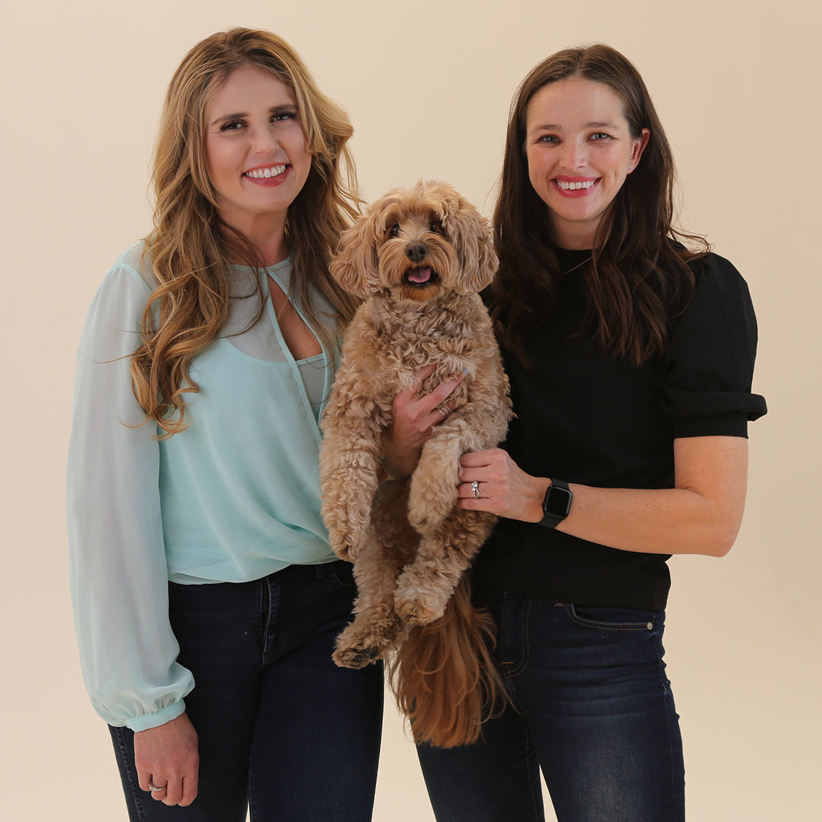 Overlooked Pet Training Tips