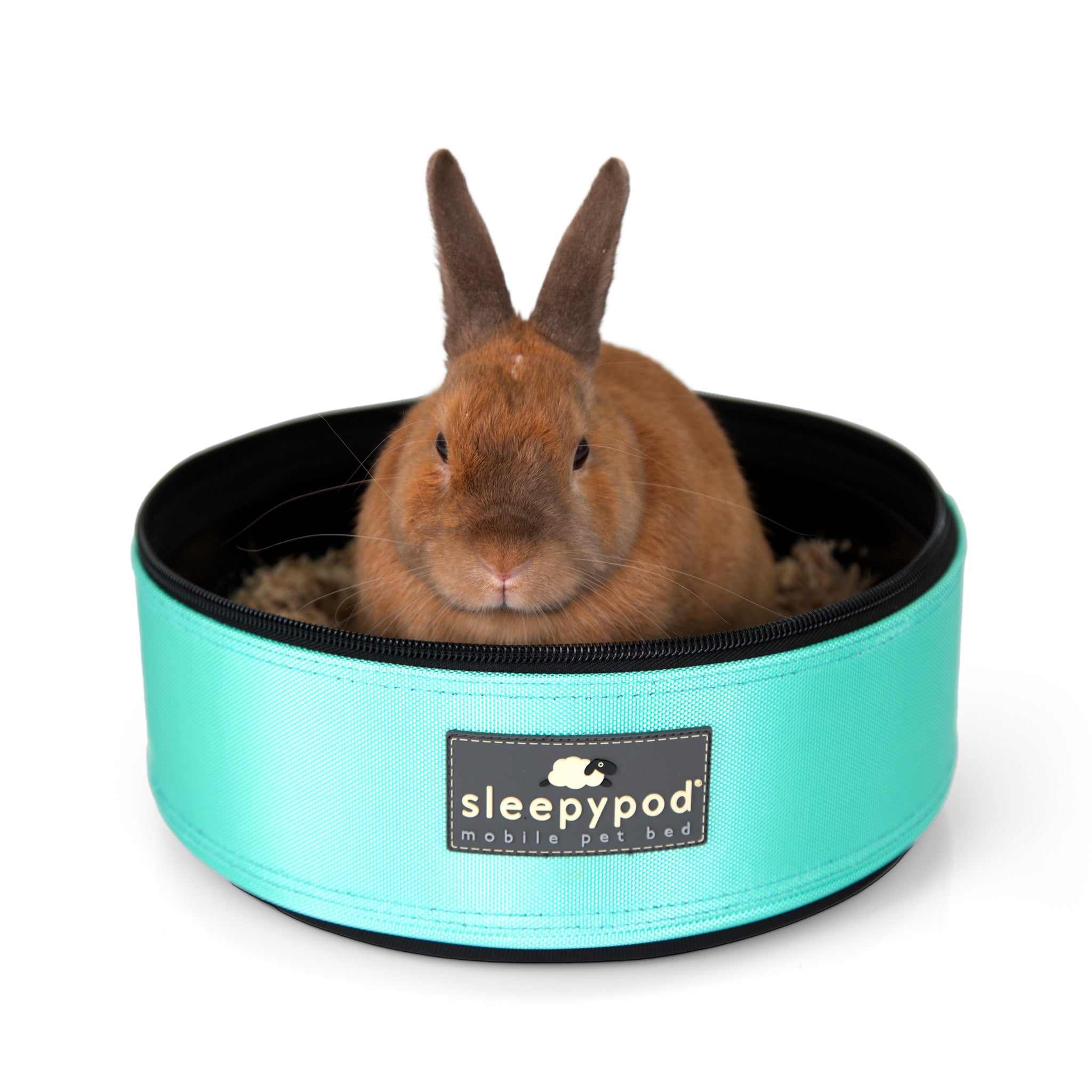 Sleepypod Mini - Oops Tray