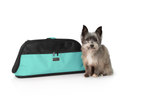 Sleepypod Air