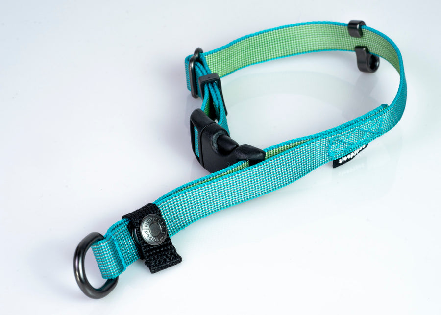 (Blue Lagoon Chromaweave)