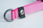 Locking Martingale Collar