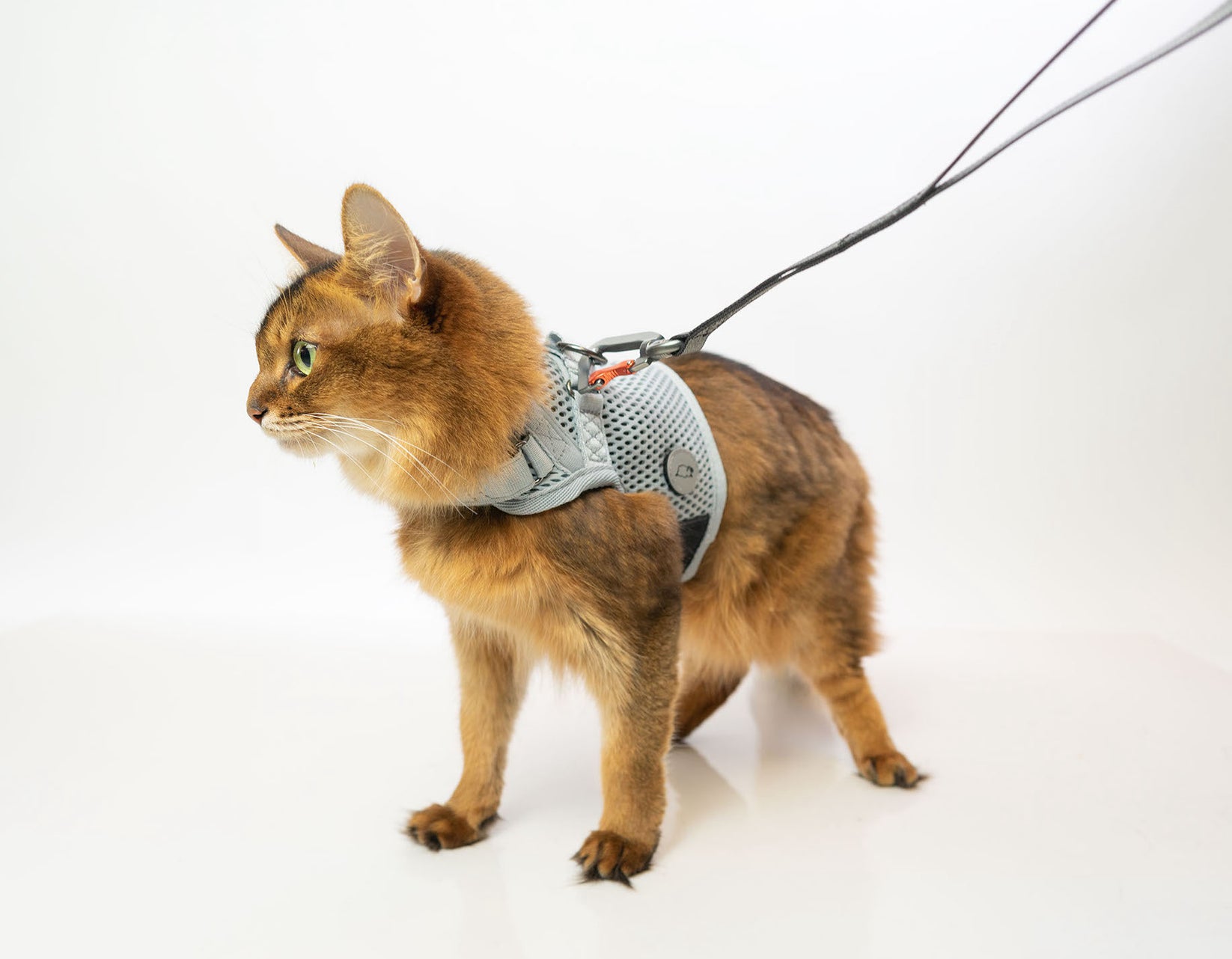 Martingale Cat Harness Sleepypod