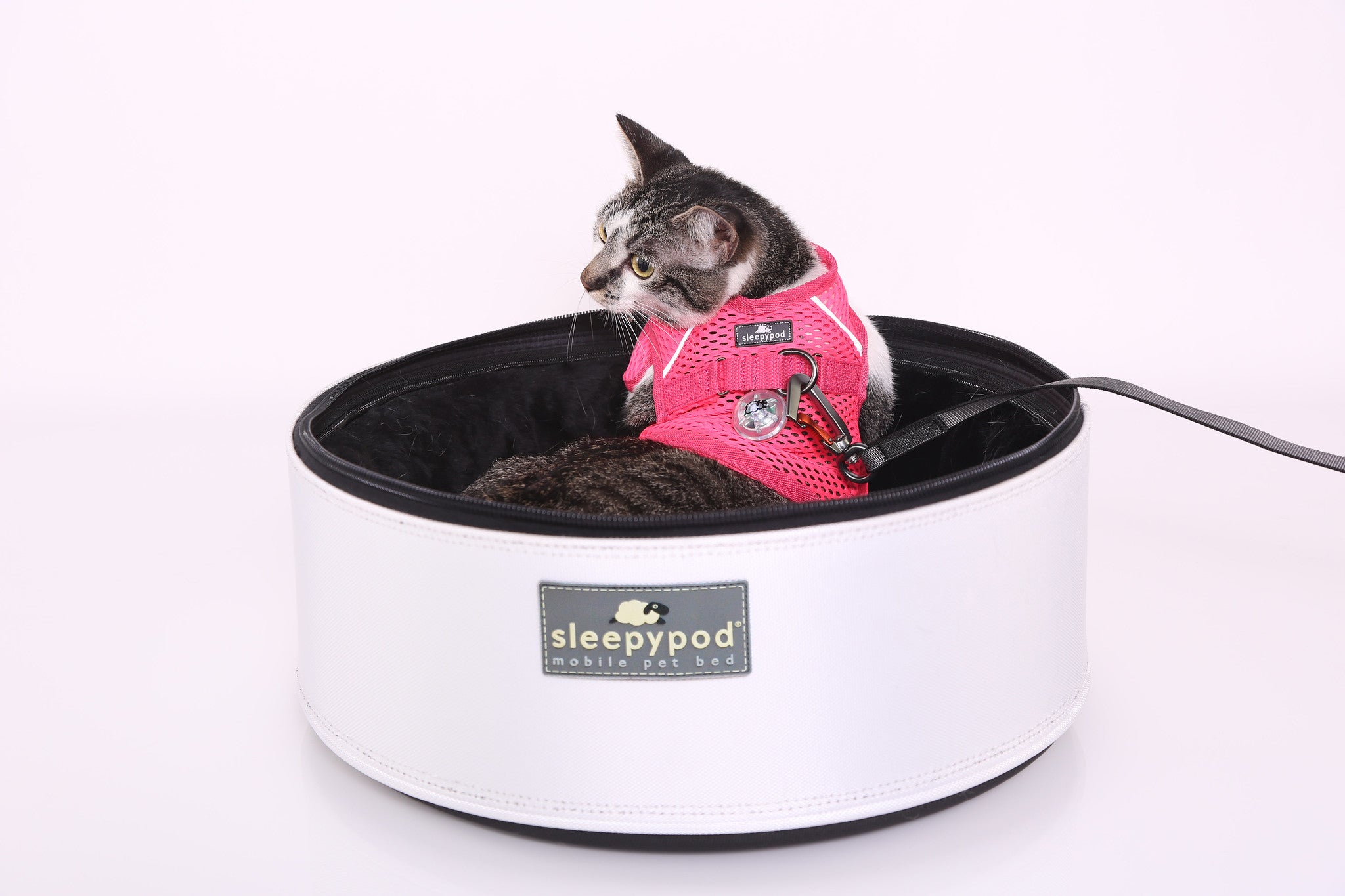 Cat sleepy pod best sale