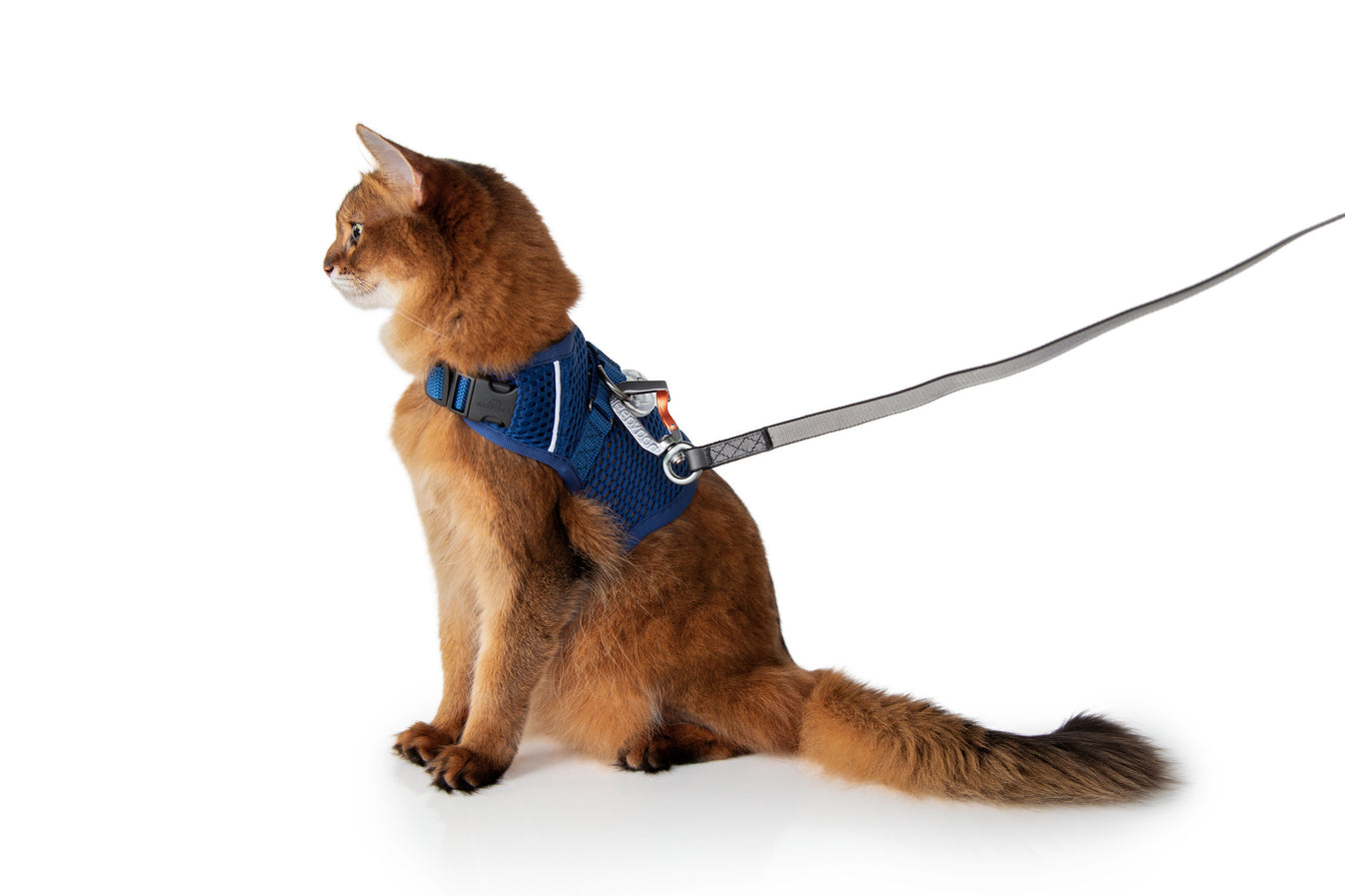 Martingale Harness Plus for cats Fear Free® Happy Homes edition