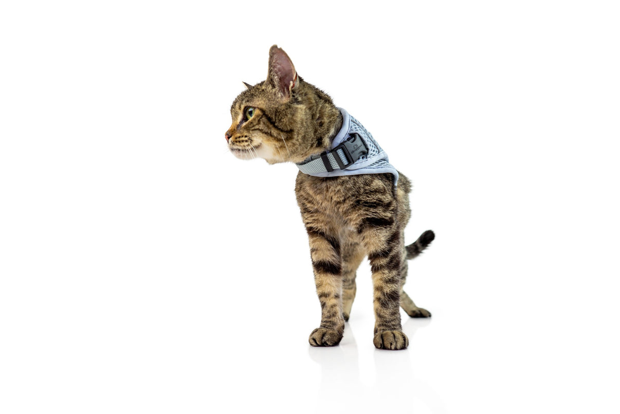 Martingale Harness Plus for cats Fear Free® Happy Homes edition