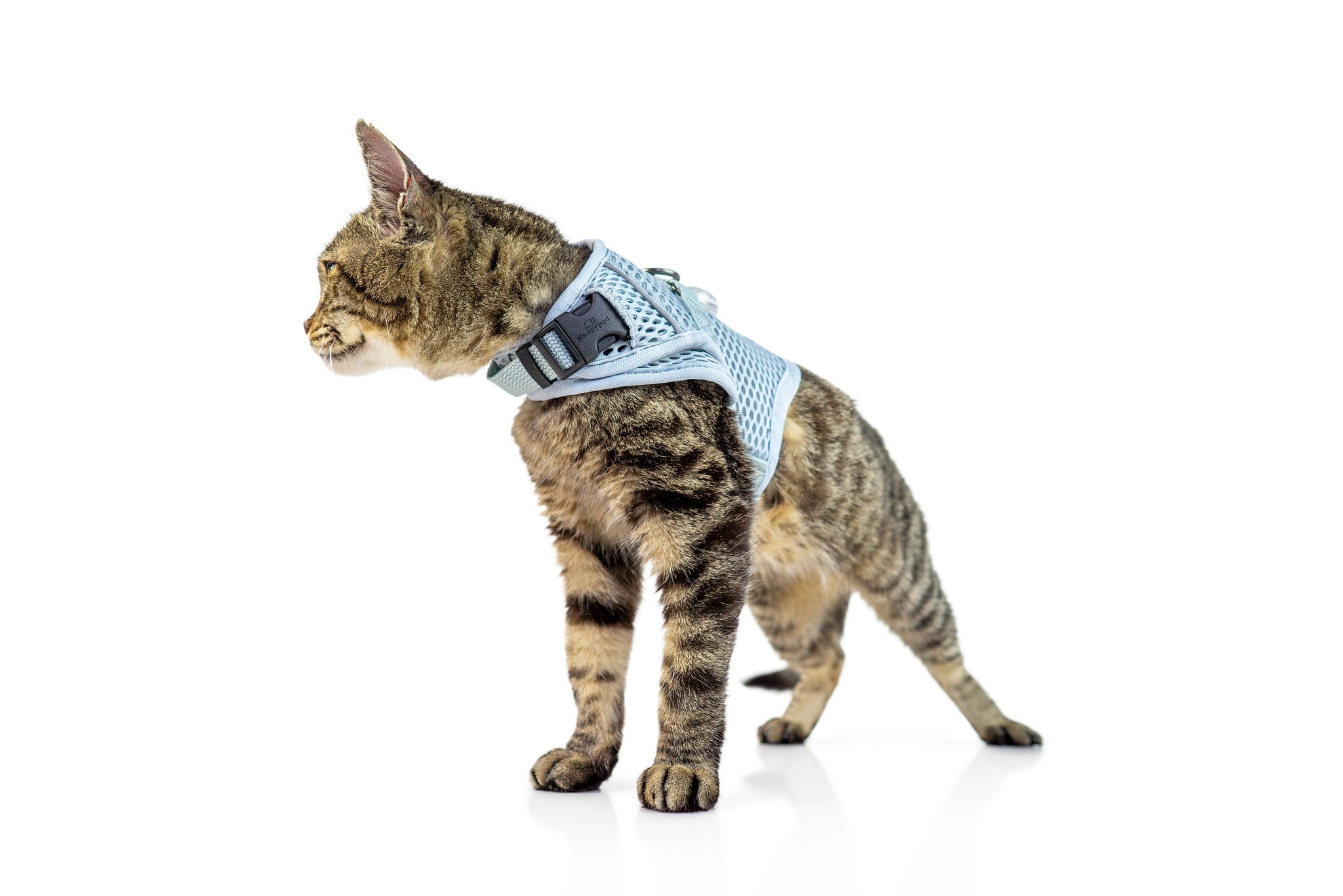 Cat walking harness hotsell