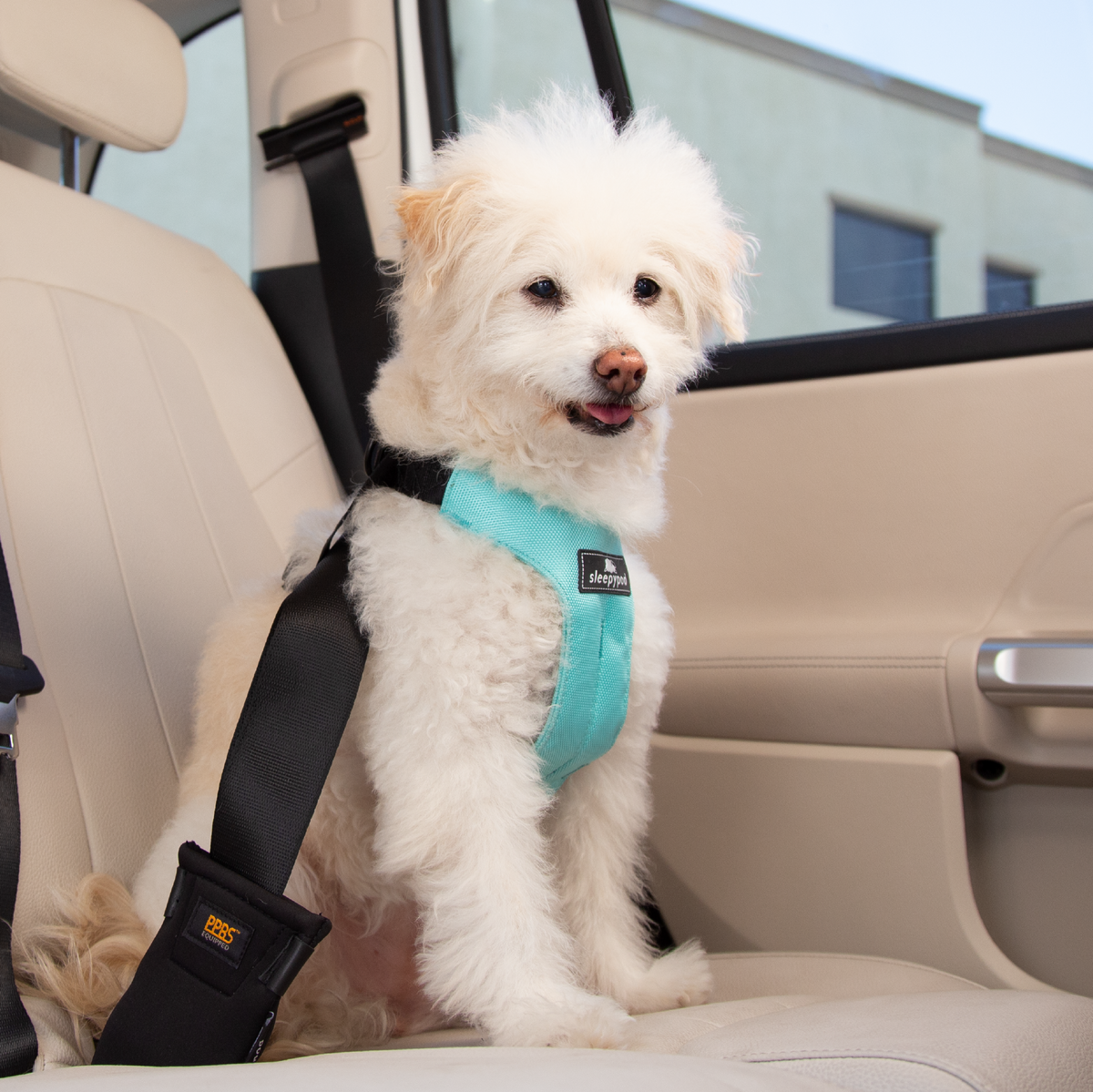 Clickit Sport Plus - Certified Dog Safety Car Harness – Sleepypod