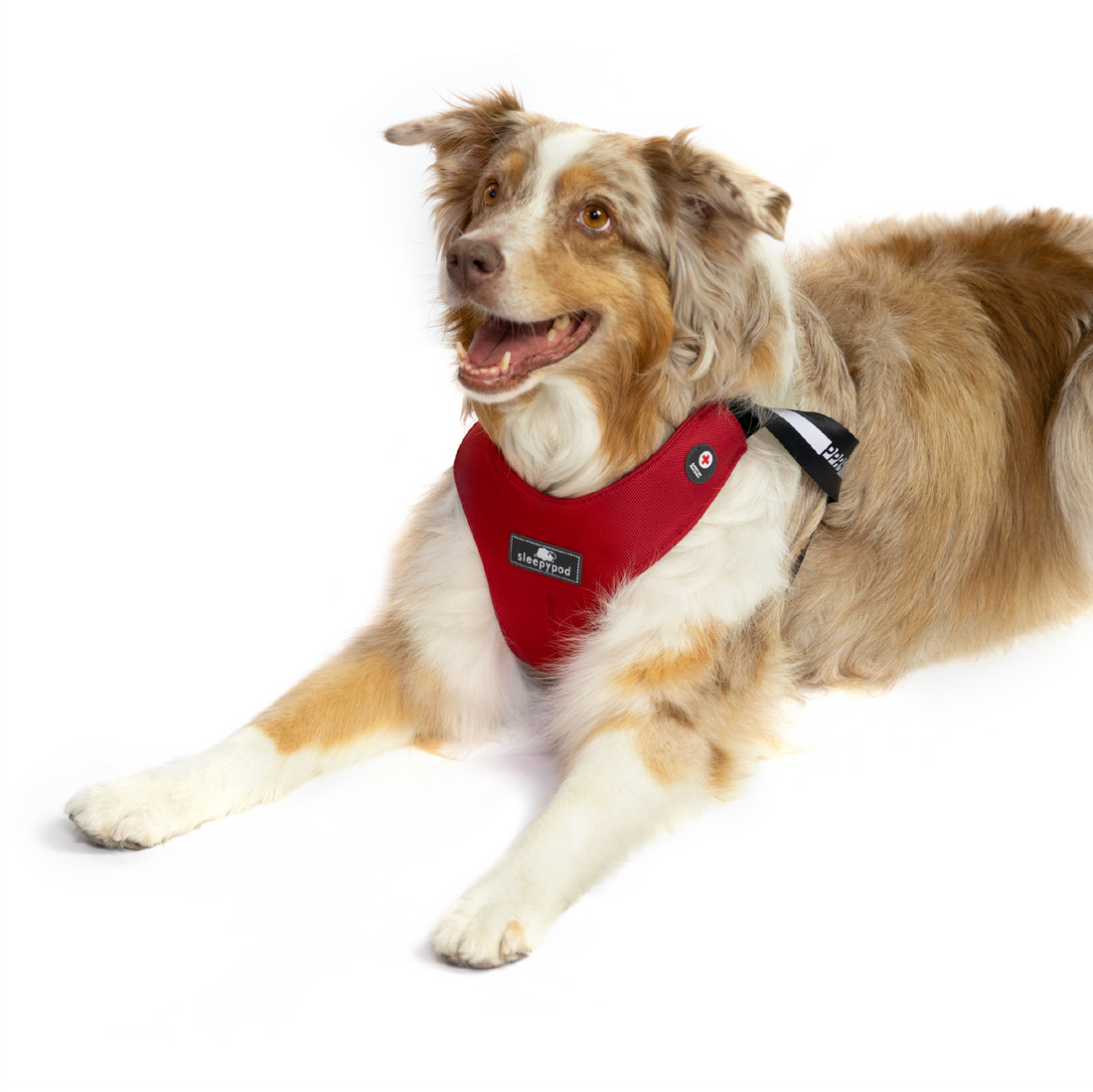 Clickit Sport Plus car harness American Red Cross edition Sleepypod