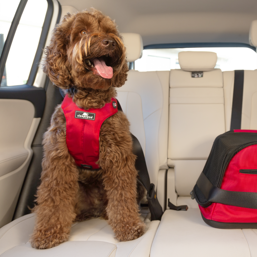 Clickit Sport Plus car harness American Red Cross edition Sleepypod