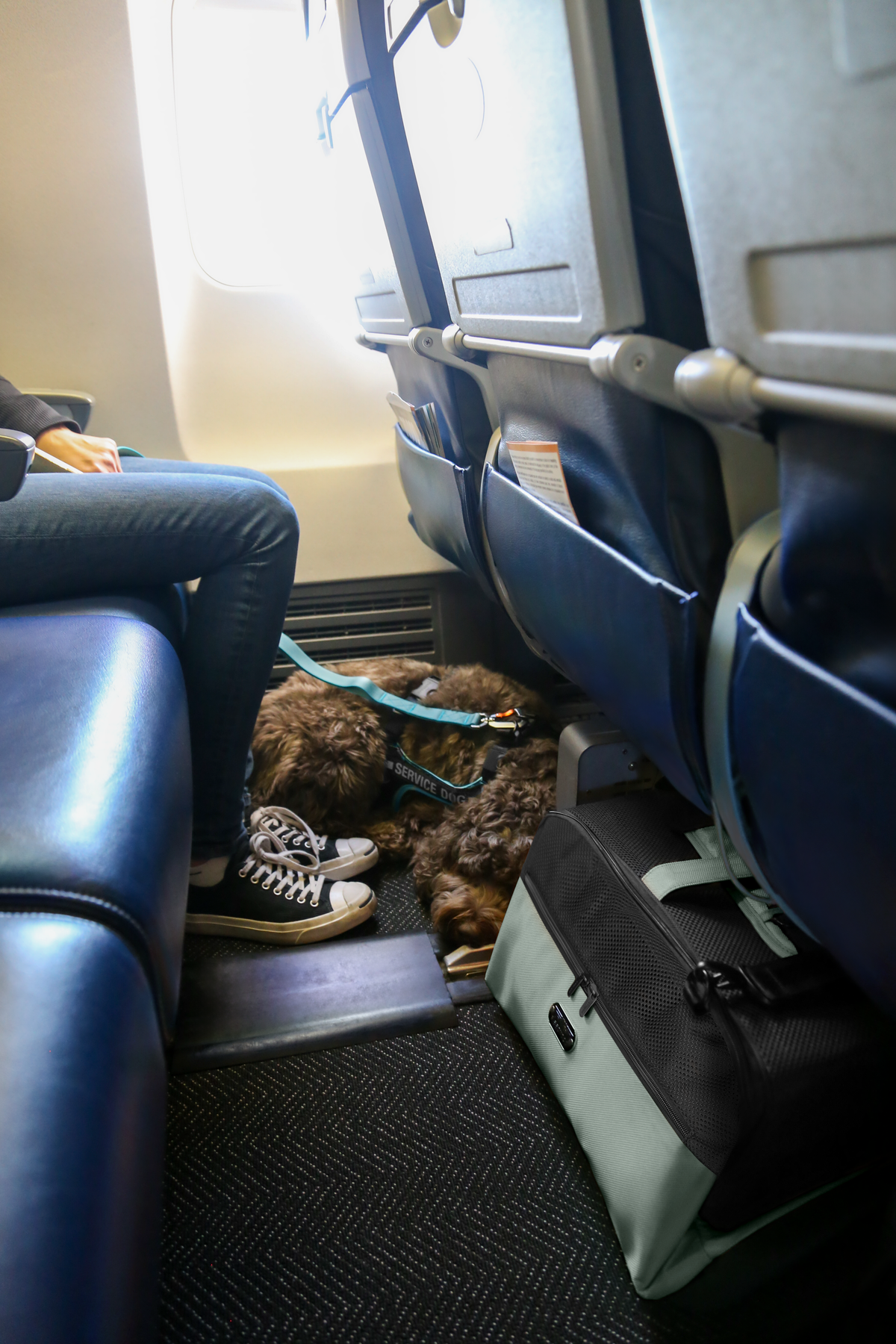 Sleepypod Air - Airline Approved Pet Carrier for Dogs and Cats