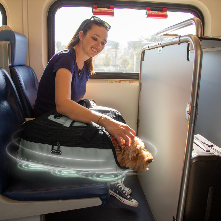 Sleepypod Air PEMF Therapy System