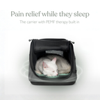 Sleepypod Air PEMF Therapy System