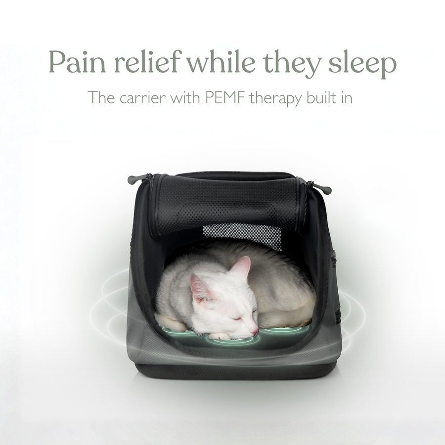 Sleepypod Air PEMF Therapy System