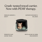 Sleepypod Air PEMF Therapy System