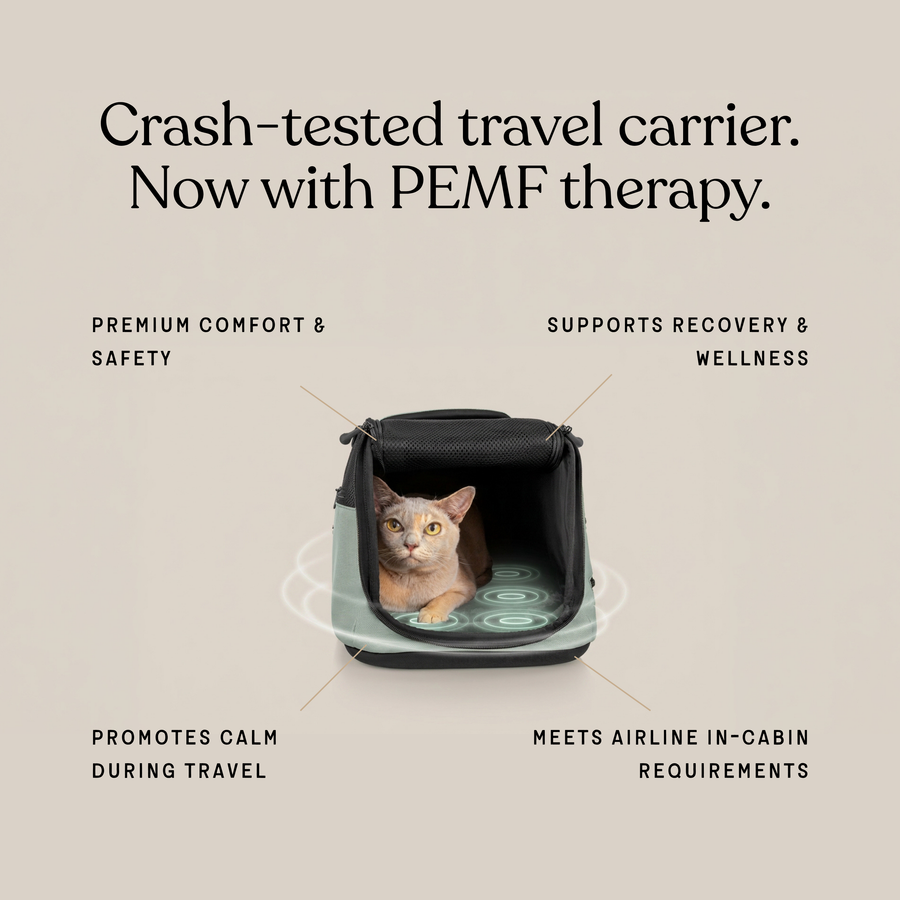 Sleepypod Air PEMF Therapy System