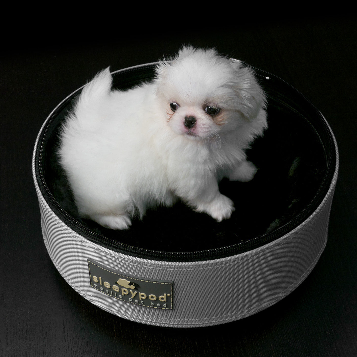 Sleepypod Atom