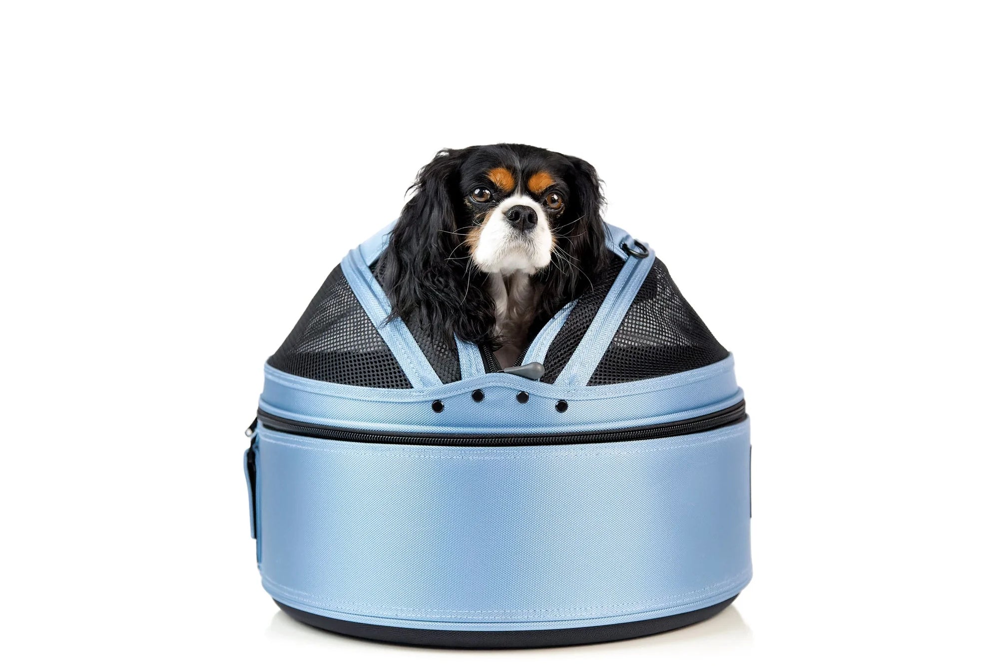 sleepypod mobile pet bed　ペットベッドキャリー Sleepypod Mobile Pet Bed - All in one pet bed, carrier and