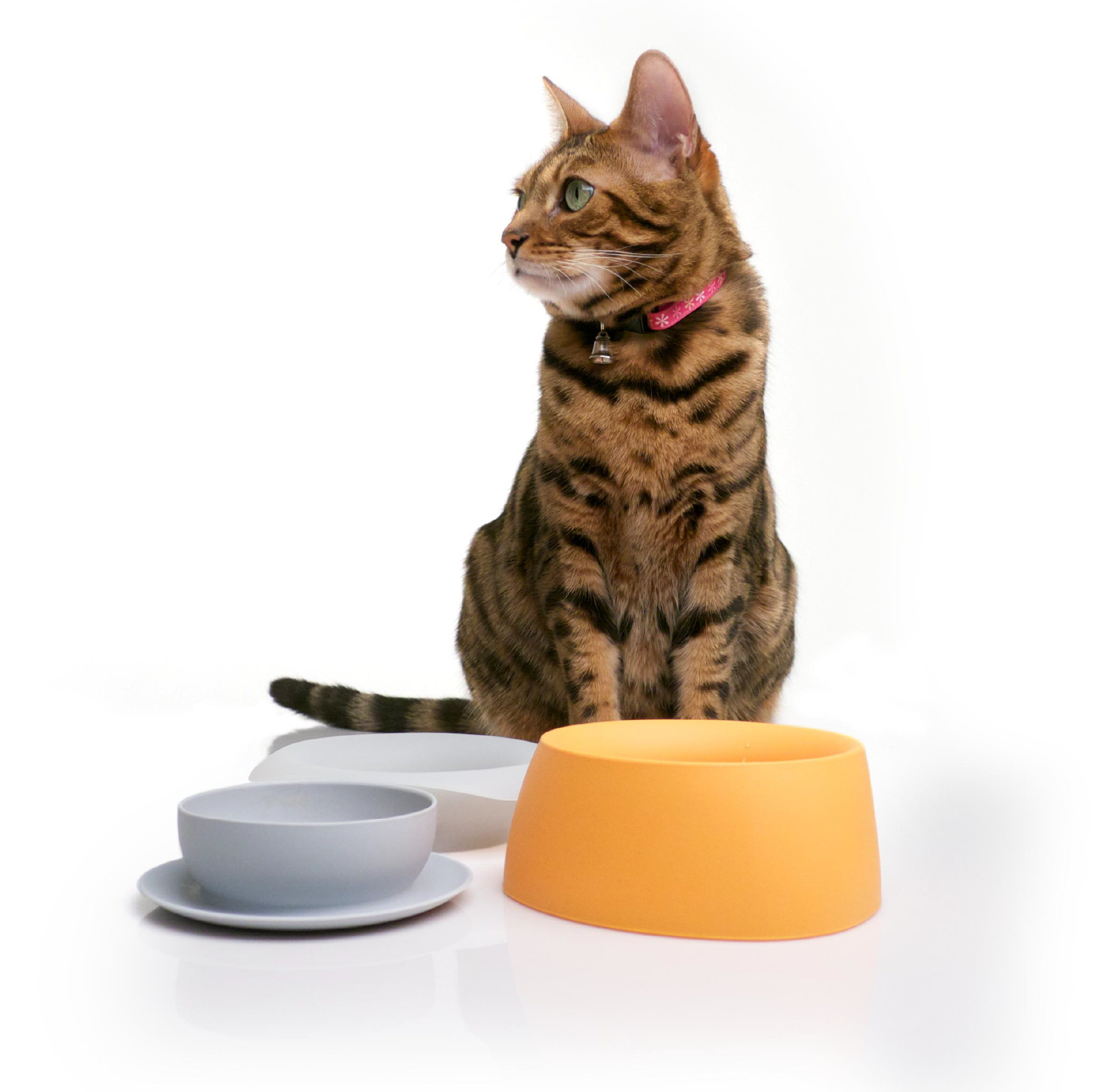 Yummy Travel Bowls Sleepypod