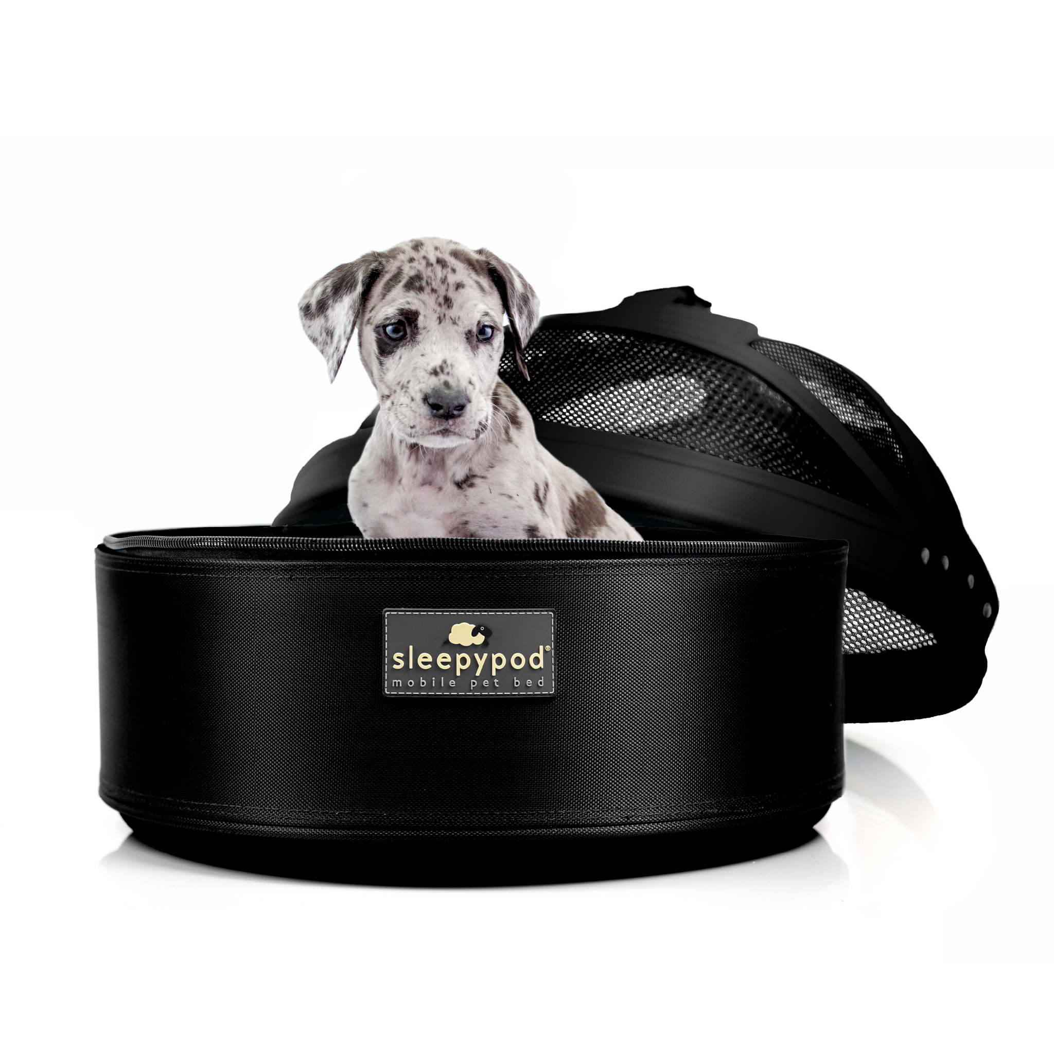 Sleepypod Mobile Pet Bed - All in one pet bed, carrier and crash-tested car  seat for dogs and cats.